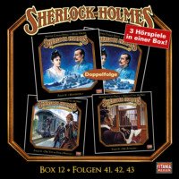 Marc Gruppe. Sherlock Holmes - Die geheimen F?lle des Meisterdetektivs, Box 12: Folgen 41, 42, 43