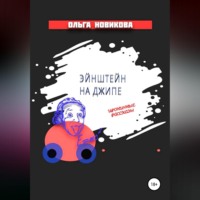 Ольга Новикова. Эйнштейн на джипе