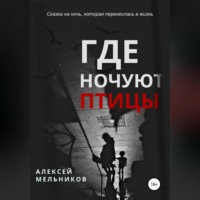 Алексей Романович Мельников. Где ночуют птицы