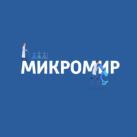 Что такое биоплёнка: сообщество бактерий на поверхности