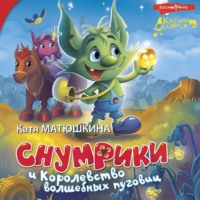 . Снумрики и Королевство волшебных пуговиц. Волшебная пуговица. Другая сторона пуговицы