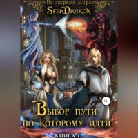 SferDrakon. Книга 1. Выбор пути, по которому идти…