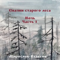 Мирослав Велесов. Сказки старого леса. Ночь. Часть 1