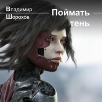 . Поймать тень