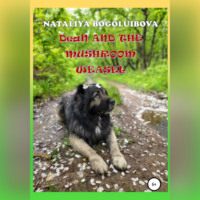 Nataliya Bogoluibova. Dean and the Mushroom Weasel