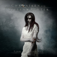 . Liebe vs. Vernunft - Die Chroniken der Seelenw?chter, Band 10 (ungek?rzt)