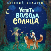Евгений Бедарев. Успеть до восхода солнца