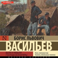 . Были и небыли. Книга 1. Господа волонтеры