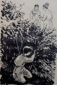 Сулейман Сани Ахундов. Nurəddin 