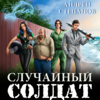 . Случайный солдат. Книги 1–3