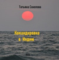 Татьяна Николаевна Соколова. Командировка в Индию