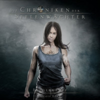 Nicole B?hm. Bruderkampf - Die Chroniken der Seelenw?chter, Band 11 (ungek?rzt)