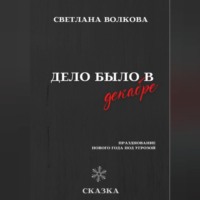 Светлана Волкова. Дело было в декабре