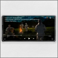 Самвел Аветисян. Записки самозанятого добровольца