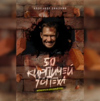 Александр Синеркин. 50 кирпичей успеха