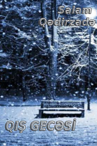 Salam Qədirzadə. Qış gecəsi