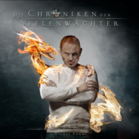 . Die Erl?sung - Die Chroniken der Seelenw?chter, Band 12 (ungek?rzt)