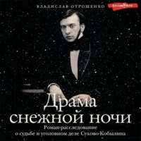 Владислав Отрошенко. Драма снежной ночи. Роман-расследование о судьбе и уголовном деле Сухово-Кобылина