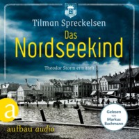 Tilman Spreckelsen. Das Nordseekind - Theodor Storm ermittelt (Ungek?rzt)