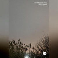 Леонид Грунский. Сказка №13. Дядя Лёша