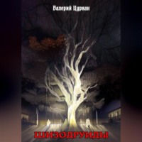 Валерий Цуркан. Шизодруиды