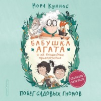 Нора Куннас. Побег садовых гномов