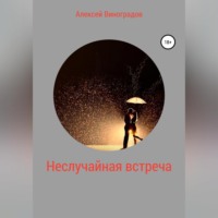 Алексей Вениаминович Виноградов. Неслучайная встреча