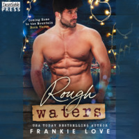 . Rough Waters - Coming Home to the Mountain, Book 3 (Unabridged)