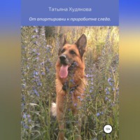 Татьяна Владимировна Худякова. От апортировки к проработке следа