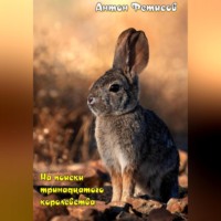 Антон Евгеньевич Фетисов. На поиски тринадцатого королевства