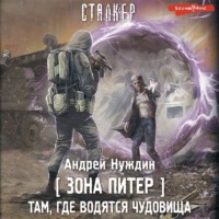 Андрей Нуждин. Зона Питер. Там, где водятся чудовища