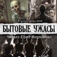 Евгений Шорстов. Бытовые ужасы