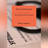 Рашит Халилуллин. Расследования Дениса Будова. Книга первая
