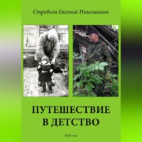 Евгений Николаевич Стребков. Путешествие в детство