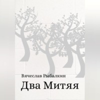 Вячеслав Владимирович Рыбалкин. Два Митяя