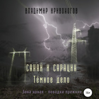 Владимир Кривоногов. Санай и Сарацин. Темное дело