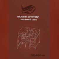 Николай Николаевич Торнадо. Апология детектива. Труд. Личный опыт