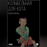 Сергей Аркадьевич Шелец. Колыбельная для кота