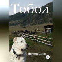 Людмила Шторк – Шива. Тобол