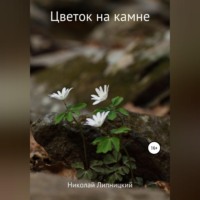 . Цветок на камне