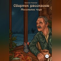 Евгения Ушакова. Маленькое чудо. Сборник рассказов