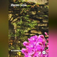 Екатерина Константиновна Гликен. Иван-чай