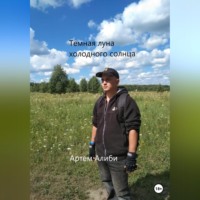 Артем Алиби. Темная луна холодного солнца