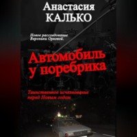 Анастасия Александровна Калько. Автомобиль у поребрика