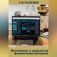 Сергей Каледин. Источники и держатели финансовых ресурсов
