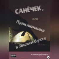 Александр Лебедев. Санёчек, или Приключения в Лисьей бухте