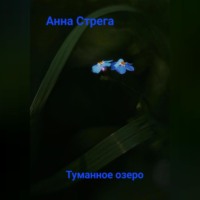 Aнна Николаевна Стрега. Tуманное озеро