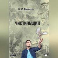 Владимир Иванович Мачулин. Чистильщик