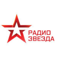 Бродячие собаки. Программа "На всякий случай" на Радио ЗВЕЗДА