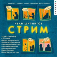Иван Шипнигов. Стрим